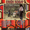 ERKİN KORAY - GÖNÜL SALINCAĞI (SİYAH RENKLİ PLAK) 