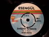 ESENGÜL - SEVDİĞİMİN KURBANIYIM / SENSİZ KAHROLMUŞTUM
