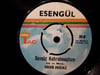 ESENGÜL - SEVDİĞİMİN KURBANIYIM / SENSİZ KAHROLMUŞTUM
