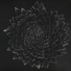 JONSI - OBSIDAN 