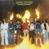 LYNYRD SKYNYRD - STREET SURVIVORS