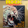 PETER GREEN - THE END OF THE GAME