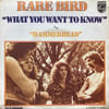 RARE BIRD – WHAT YOU WANT TO KNOW