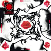 RED HOT CHILI PEPPERS - BLOOD SUGAR SEX MAGIK 