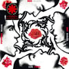 RED HOT CHILI PEPPERS - BLOOD SUGAR SEX MAGIK 