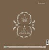 SEZEN AKSU - FİRUZE