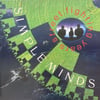 SIMPLE MINDS - STREET FIGHTING YEARS