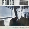 STING - THE DREAM OF THE BLUE TURTLES