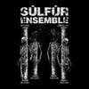 SULFUR ENSEMBLE – IV