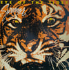 SURVIVOR - EYE OF THE TIGER