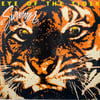 SURVIVOR - EYE OF THE TIGER