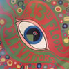 THE 13TH FLOOR ELEVATORS – THE PSYCHEDELIC SOUNDS OF THE 13TH FLOOR ELEVATORS
