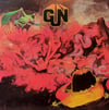 THE GUN - GUN