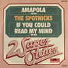 THE SPOTNICKS – AMAPOLA / IF YOU COULD READ MY MIND