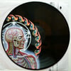 TOOL - LATERALUS (FULL COLOR PICTURE DISK) 