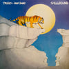 TYGERS OF PAN TANG - SPELLBOUND