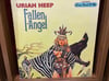 URIAH HEEP - FALLEN ANGEL