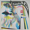 VARIOUS ARTISTS - LAMBADA