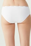 USPA Kadın Çok Renkli 5 Lİ Yüksek Bel Slip - US.B1.67002 492