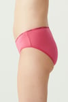 USPA Kadın Çok Renkli 5 Lİ Yüksek Bel Slip - US.B1.67002 491