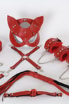Kırmızı İçi Tüğlü Maske,Kol,Bacak,Ağız Topu,Kırbaç,Tasma Set 700938