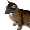 Buster Kedi Ağızlığı