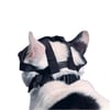 Buster Kedi Ağızlığı