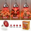 Isıtıcı Ampul Lamba 250 W