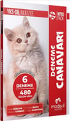 Modadil Yayınları YKS DİL IntroPack Deneme Canavarı 6 Deneme