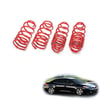 Renault Fluence spor yay helezon 45mm/45mm 2009-2016 Coil-ex