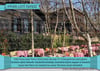Istanbuldan Kareler P İK 11