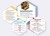 Karbonhidratlar P BİY 61