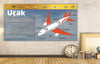 Uçak DG TŞ 25