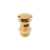 DR-02 Gold Sifon Üst Takımı (Tahliye Delikli)