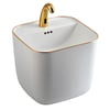 E-251A Monoblok Lavabo Beyaz & Altın