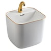 E-251A Monoblok Lavabo Beyaz & Altın