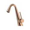 FG-4513 Parlak Rose Lavabo Bataryası