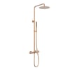 FJ-1053F Fırçalanmış Rose Duş Ünitesi