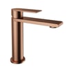 FJ-SS1013 Mat Rose Lavabo Bataryası