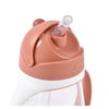 300 ml Şeffaf Pipetli Suluk, Terracotta