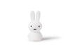 Aydınlatma, Miffy Shines