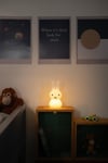 Aydınlatma, Miffy Shines