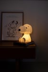 Aydınlatma, Snoopy First Light