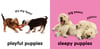 Baby Touch and Feel Puppies