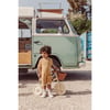 Banwood Vintage Trike | Krem