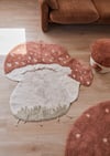 Halı, Boletus