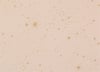 Hardy Dekoratif Yastık, Gold Stella/ Dream Pink