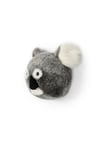 Koala 'Noah'