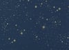 Laurel Dekoratif Yastık, Gold Stella Night Blue