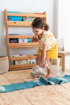 Soft Toy, Ride & Roll Airplane